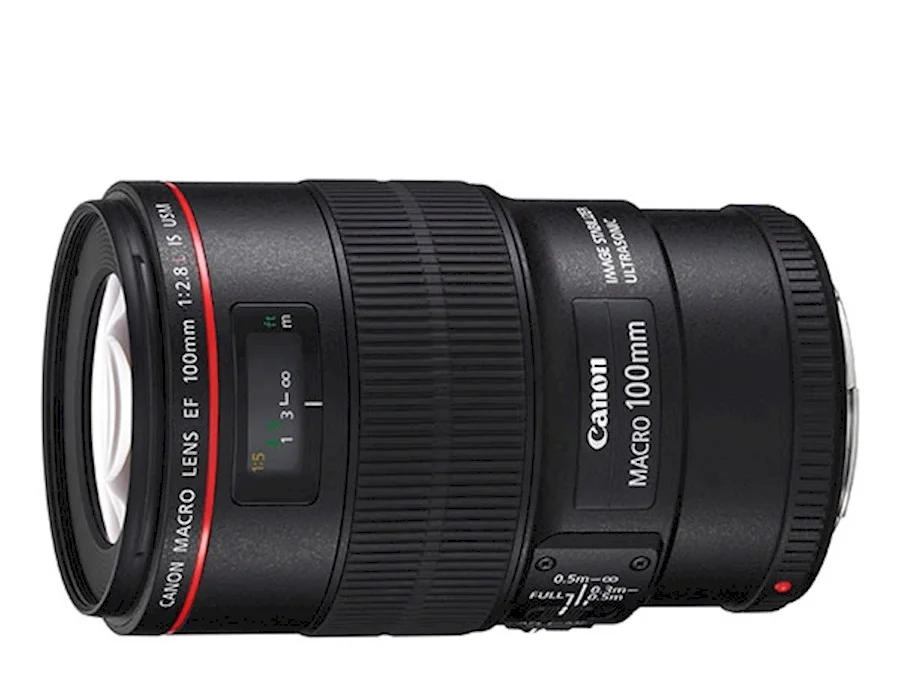 Canon EF 100mm f/2.8L Macro IS USM